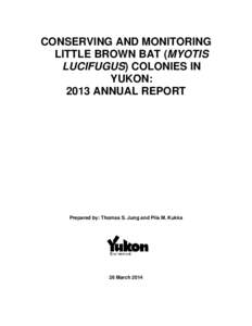 Yukon Bat Houses – report of activities in 2012