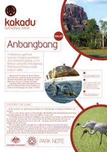 Anbangbang walks facsheet, Kakadu National Park