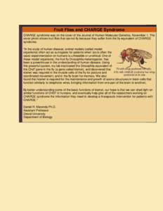 CHD7 / Drosophila melanogaster / Drosophila / Model organism / Brain / CHARGE syndrome / Drosophilidae / Biology / Animal testing