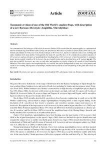 Taxonomic revision of one of the Old World’s smallest frogs, with description of a new Bornean Microhyla (Amphibia, Microhylidae)