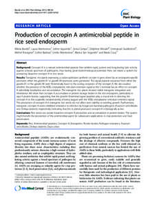 Endosperm / Glutelin / Rice / Seed / Genetically modified rice / Signal peptide / Transgene / Biology / Genetic engineering / Genetically modified plant