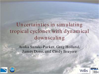 Uncertainties in simulating tropical cyclones with dynamical downscaling