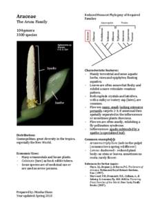 Araceae  Reduced Monocot Phylogeny of Required