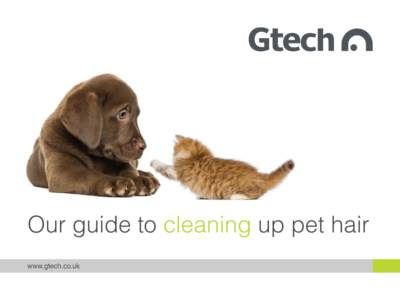 Our guide to cleaning up pet hair www.gtech.co.uk Welcome... Our domestic pets bring us joy and laughter, but they also bring us an awful lot of pet hair to deal with.