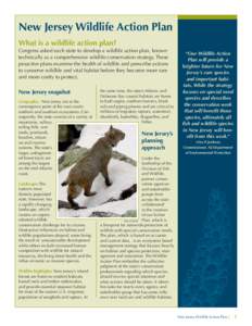 New Jersey_Wildlife Action Plan.indd