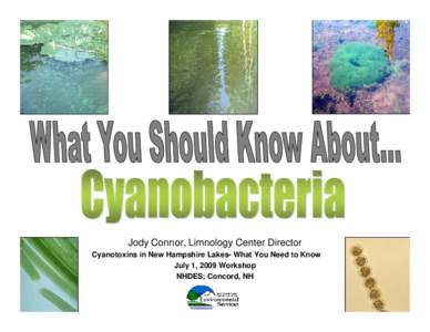 Jody Connor, Limnology Center Director Cyanotoxins in New Hampshire Lakes- What You Need to Know July 1, 2009 Workshop NHDES; Concord, NH  So what exactly are Cyanobacteria?