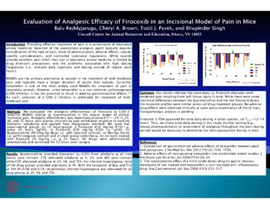 Microsoft PowerPoint - Firocoxib poster.pptx