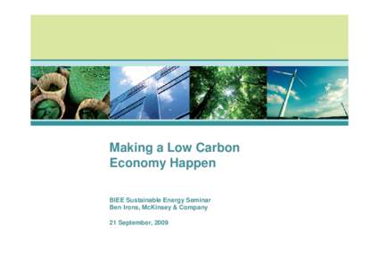 Making a Low Carbon Economy Happen BIEE Sustainable Energy Seminar Ben Irons, McKinsey & Company 21 September, 2009