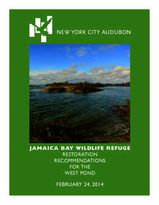 JAMAICA BAY WILDLIFE REFUGE RESTORATION RECOMMENDATIONS FOR THE WEST POND