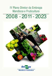 IV Plano Diretor da Embrapa Mandioca e Fruticultura[removed]2023  Empresa Brasileira de Pesquisa Agropecuária