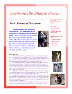 Jacksonville Sheltie Rescue “Tori” Rescue of The Month Sometimes we get a call we can’t refuse. Tori, the little girl in this picture, was the subject of such a call. Tori is a sheltie plus (plus border collie, plu