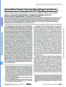 THE JOURNAL OF BIOLOGICAL CHEMISTRY VOL. 283, NO. 50, pp–34843, December 12, 2008 © 2008 by The American Society for Biochemistry and Molecular Biology, Inc. Printed in the U.S.A. Extracellular Nampt Promotes M