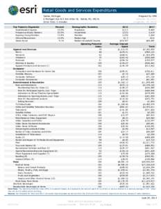 Retail Goods and Services Expenditures Saline, Michigan E Michigan Ave & S Ann Arbor St, Saline, MI, 48176 Drive Time: 5 minutes Top Tapestry Segments Sophisticated Squires