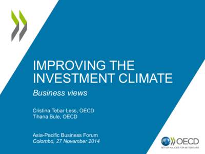 IMPROVING THE INVESTMENT CLIMATE Business views Cristina Tebar Less, OECD Tihana Bule, OECD Asia-Pacific Business Forum