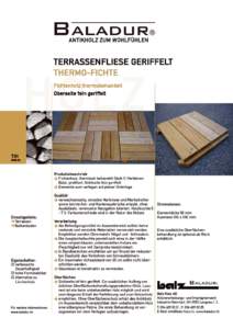 T31-D_Terrassenfliese_geriffelt.psd