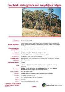 Microsoft Word - CB06_Ironbark, stringybark & supplejack on ridges.doc