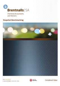 Snapshot Benchmarking  Snapshot for Business Improvement Benchmarking is an important tool for any business, be that against other similar businesses, or against your past or forecast performance. Using industry benchma