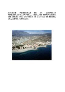 Para la prospeccin del Cerro del Castillo de Castell de Ferro, de carcter intensivo, se ha dividido dicho Cerro en  seis re