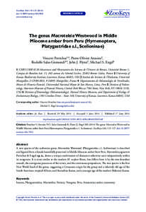 ﻿The genus Macroteleia Westwood in Middle Miocene amber from Peru (Hymenoptera, Platygastridae s.l., Scelioninae)