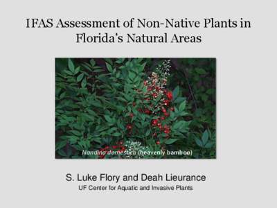 IFAS Assessment of Non-Native Plants in Florida’s Natural Areas Nandina domestica (heavenly bamboo)  S. Luke Flory and Deah Lieurance