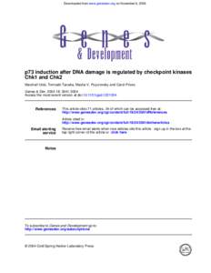 Downloaded from www.genesdev.org on November 9, 2006  p73 induction after DNA damage is regulated by checkpoint kinases Chk1 and Chk2 Marshall Urist, Tomoaki Tanaka, Masha V. Poyurovsky and Carol Prives Genes & Dev. 2004