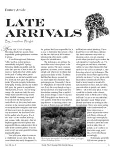 Feature Article  Late Arrivals By Jonathan Wright