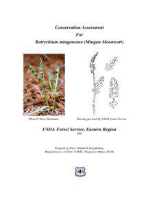 Conservation Assessment For Botrychium minganense (Mingan Moonwort)