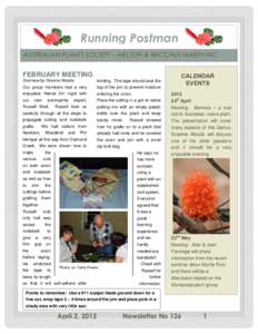 Running Postman AUSTRALIAN PLANTS SOCIETY – MELTON & BACCHUS MARSH INC FEBRUARY MEETING Overview by Graeme Woods