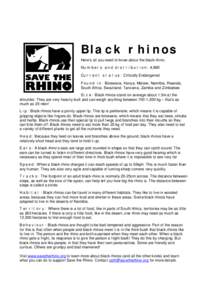 Black Rhinoceros / Rhino / Javan Rhinoceros / International Rhino Foundation / Fauna of Africa / Rhinoceroses / EDGE Species