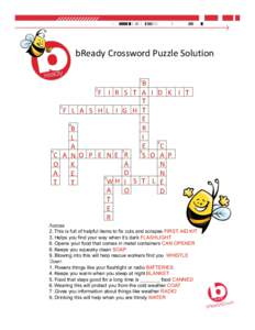 bReady Crossword Puzzle Solution  B  F    I   R   S   T   A   I   D   K    I   T  T F   L   A   S   H  L    