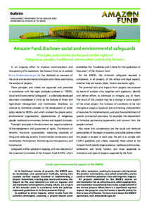 Brazilian Development Bank / Reducing Emissions from Deforestation and Forest Degradation / Amazon rainforest / Environmental protection / Coordination of the Indigenous Organizations of the Brazilian Amazon / Environment / Forestry / Americas