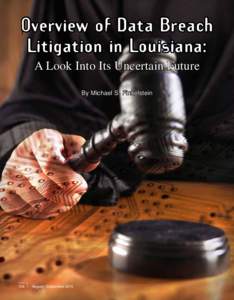 Overview of Data Breach Litigation in Louisiana: A Look Into Its Uncertain Future By Michael S. Finkelstein  106		 August / September 2015