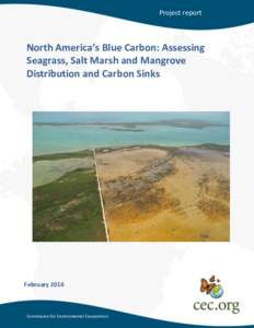 Project report  North America’s Blue Carbon: Assessing Seagrass, Salt Marsh and Mangrove Distribution and Carbon Sinks