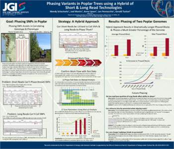 Phasing Variants in Poplar Trees using a Hybrid of Short & Long Read Technologies Wendy Schackwitz1, Joel Martin1, Anna Lipzen1, Len Pennacchio1, Gerald Tuskan2 1Department  Affiliations: