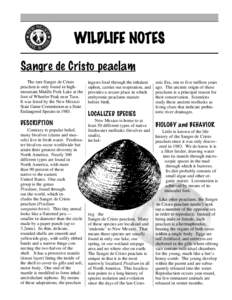 WILDLIFE NOTES Sangre de Cristo peaclam The rare Sangre de Cristo peaclam is only found in highmountain Middle Fork Lake at the foot of Wheeler Peak near Taos. It was listed by the New Mexico