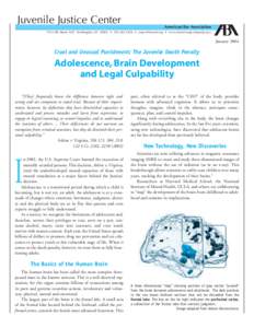 Adolescence, Brain Development and Legal Culpability