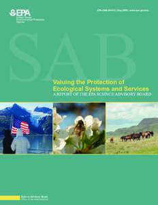 Valuing the Protection of Ecological Systems and Services Report