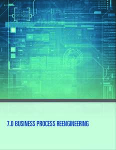 7.0 BUSINESS PROCESS REENGINEERING State of Hawaii Business and IT/IRM Transformation Plan Governance | 71  7.0 BUSINESS PROCESS REENGINEERING