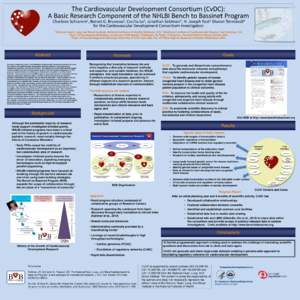 The Cardiovascular Development Consortium (CvDC): A Basic Research Component of the NHLBI Bench to Bassinet Program Charlene 1National  1