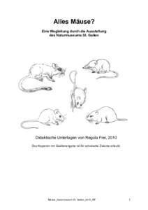 Alles Mäuse? Eine Wegleitung durch die Ausstellung des Naturmuseums St. Gallen Didaktische Unterlagen von Regula Frei, 2010 Das Kopieren mit Quellenangabe ist für schulische Zwecke erlaubt.