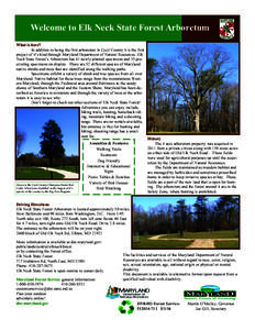 Welcome to Elk Neck State Forest Arboretum What is here? In addition to being the first arboretum in Cecil County it is the first project of it’s kind through Maryland Department of Natural Resources. Elk Neck State Fo