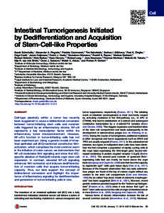 Programmed cell death / Transcription factors / Stem cells / Beta-catenin / NF-κB / Catenin / Tumor necrosis factor-alpha / Colorectal cancer / IKK2 / Biology / Signal transduction / Genes