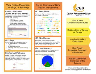 View Protein Properties, Orthologs, & Pathways Protein Information “Protein” tab on Locus Summary  !