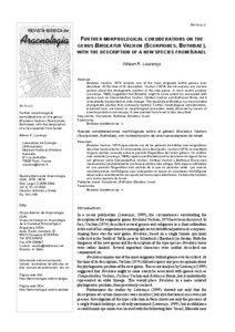 ARTÍCULO:  FURTHER MORPHOLOGICAL CONSIDERATIONS ON THE