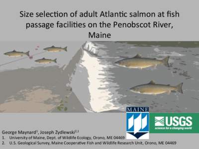 Size	
  selec)on	
  of	
  adult	
  Atlan)c	
  salmon	
  at	
  ﬁsh	
   passage	
  facili)es	
  on	
  the	
  Penobscot	
  River,	
   Maine	
   George	
  Maynard1,	
  Joseph	
  Zydlewski2,1	
  