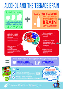 Alcohol and the teenage brain A child’s brain continues developing until they are into their