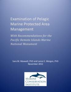 Examination of Pelagic Marine Protected Area Management