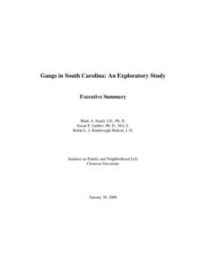 Gangs in South Carolina: An Exploratory Study  Executive Summary Mark A. Small, J.D., Ph. D. Susan P. Limber, Ph. D., M.L.S.
