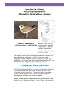 Species Fact Sheet Western Snowy Plover Charadrius alexandrinus nivosus STATUS: THREATENED Western snowy (coastal)