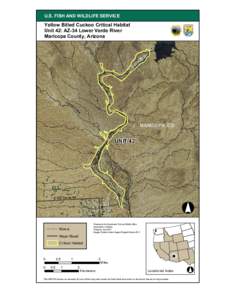 U.S. FISH AND WILDLIFE SERVICE  Yellow Billed Cuckoo Critical Habitat Unit 42: AZ-34 Lower Verde River Maricopa County, Arizona
